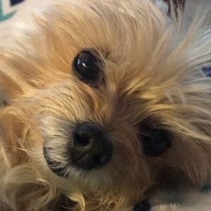 Meet your Posher, Vicki